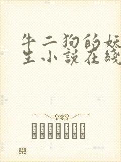 牛二狗的妖孽人生小说在线阅读