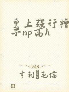 皇上强行糟蹋太子np高h