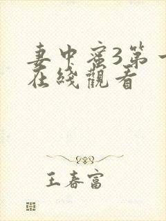 妻中蜜3第一集在线观看