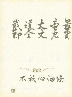 武道大帝最新章节全文免费阅读封面