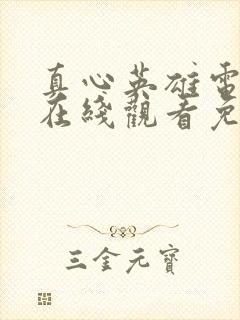 真心英雄电视剧在线观看免费高清