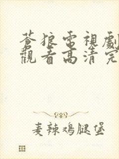 苍狼电视剧在线观看高清完整免费封面