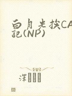 白月光挨CAO记(NP)