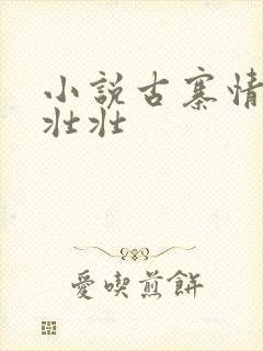 小说古寨情缘安壮壮