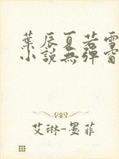 叶辰夏若雪孙怡小说无弹窗