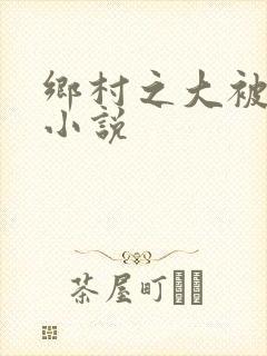 乡村之大被同眠小说封面