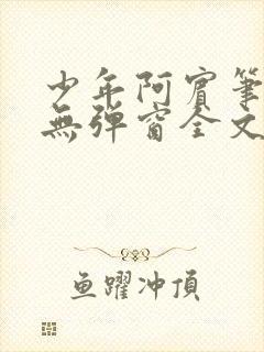 少年阿宾笔趣阁无弹窗全文免费阅读