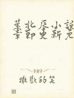 叶北辰小说最新章节更新免费阅读