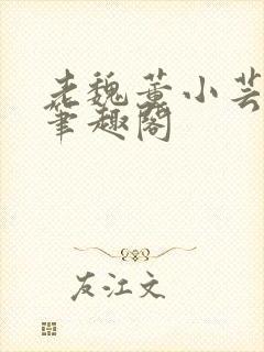 老魏董小芸全文笔趣阁