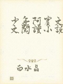 少年阿宾文全全文阅读小说封面