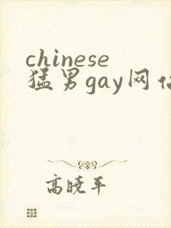 chinese猛男gay网站