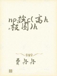 np挨c(高h,校园)h