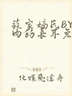 苏家嫡氏BY吃肉的长耳兔