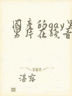 国产的gay男男片在线看