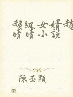 超级女婿赵旭李晴晴小说