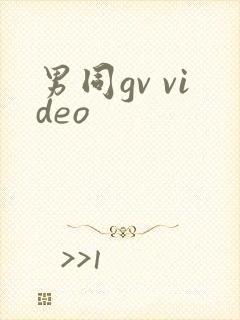 男同gv video封面