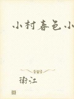 小村春色小说封面