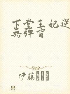 下堂王妃逆袭记无弹窗