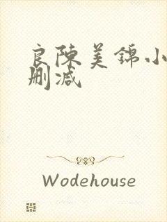 良陈美锦小说无删减封面