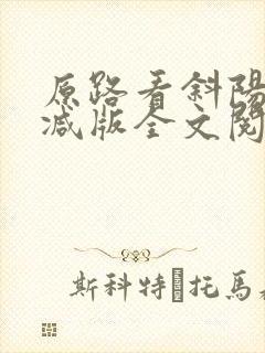 原路看斜阳未删减版全文阅读封面