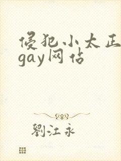 侵犯小太正裸体gay网站封面