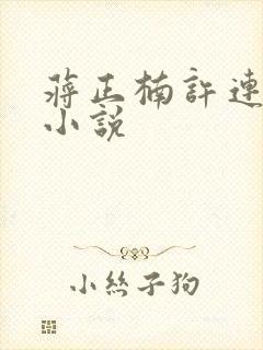 蒋正楠许连臻的小说