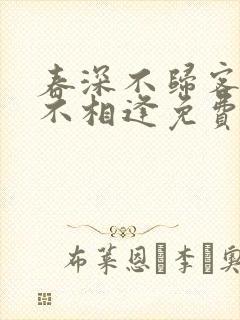 春深不归客清梦不相逢免费全文阅读