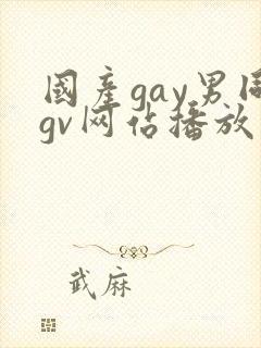 国产gay男同gv网站播放免费封面