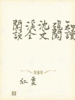 闻溪沈砚知的小说全文阅读封面