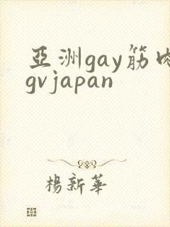 亚洲gay筋肉gvjapan