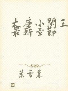 大唐小闲王小说最新章节