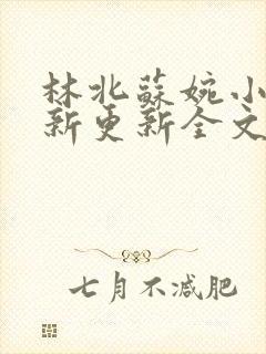 林北苏婉小说最新更新全文免费阅读