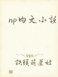 np肉文小说