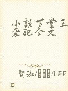 小说下堂王妃逆袭记全文