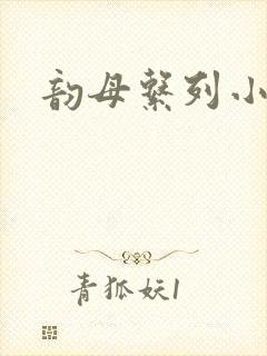 韵母系列小说封面