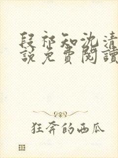 段祁知沈清鸢小说免费阅读最新章节