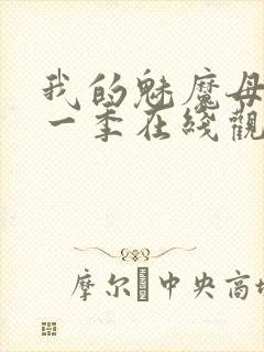 我的魅魔母亲第一季在线观看全集