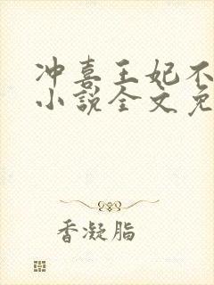 冲喜王妃不好惹小说全文免费阅读