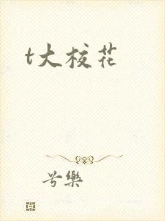 t大校花