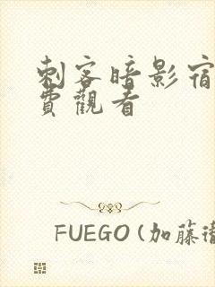 刺客暗影宿命免费观看