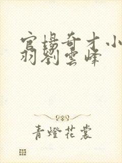 官场奇才小说陆羽刘云峰