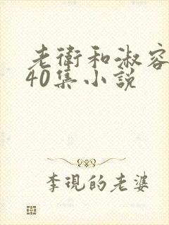 老卫和淑容1-40集小说