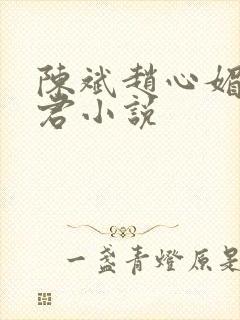 陈斌赵心媚高婉君小说