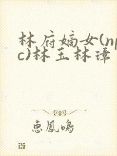 林府嫡女(npc)林玉林璋
