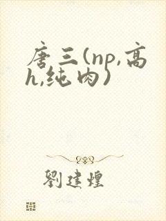 唐三(np,高h,纯肉)