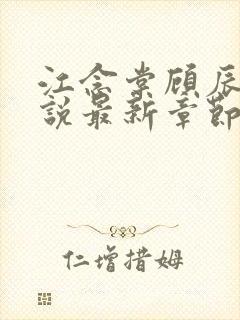 江念棠顾辰聿小说最新章节免费阅读