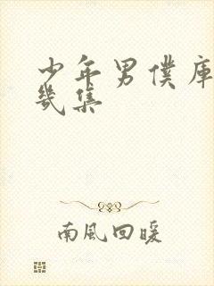 少年男仆库洛有几集