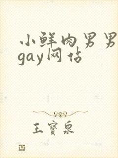 小鲜肉男男同性gay网站
