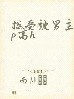 总受被男主们np高h