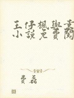 王仔枫与袁雯洁小说免费阅读封面